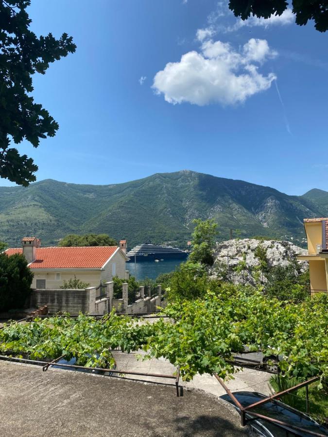 Vasiniko Apartment Kotor Buitenkant foto